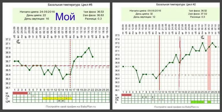 Норма ректально. График базальной температуры при беременности без беременности. График базальной температуры с примерами и расшифровкой. График базальной температуры при беременности 36.8. Базальная температура и беременность графики.