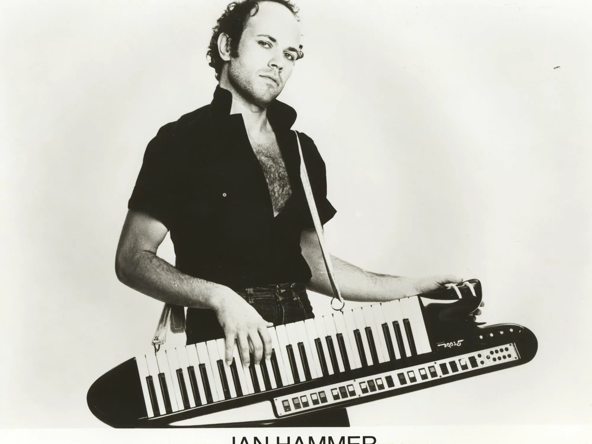 Jan Hammer. Jan Hammer фото. Hammer crockett s theme