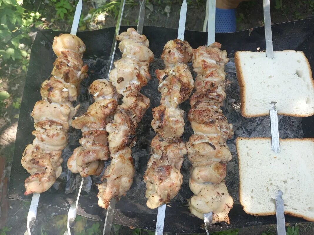 продавец в шашлычную. шашлычный дворик псков меню. киселева 18а.