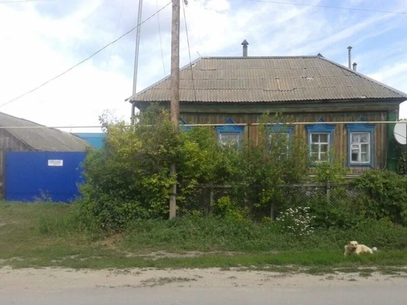 Погода в радищево в солнечногорском районе. Погода в радищево в солнечногорском районе. Погода в радищево в солнечногорском районе. Погода в радищево в солнечногорском районе. Погода в радищево в солнечногорском районе.