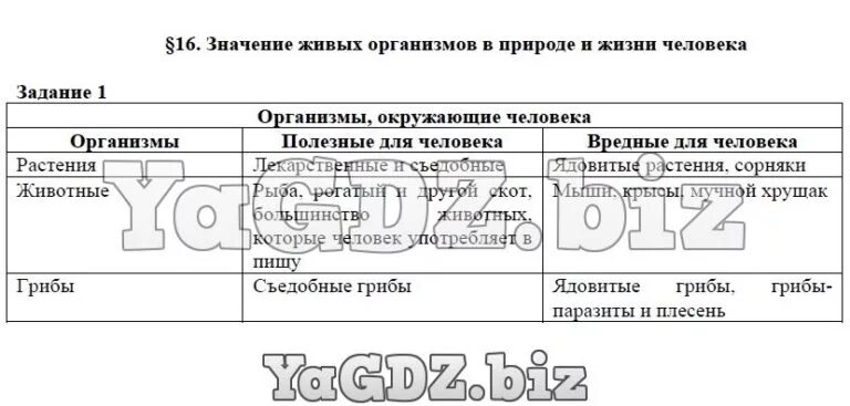 Заполнить таблицу значение растений. Заполните таблицу организмы окружающие человека. таблица организмы окружающие человека. значение живых организмов таблица. организмы окружающие человека таблица 5.