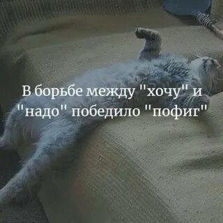 Хочу между