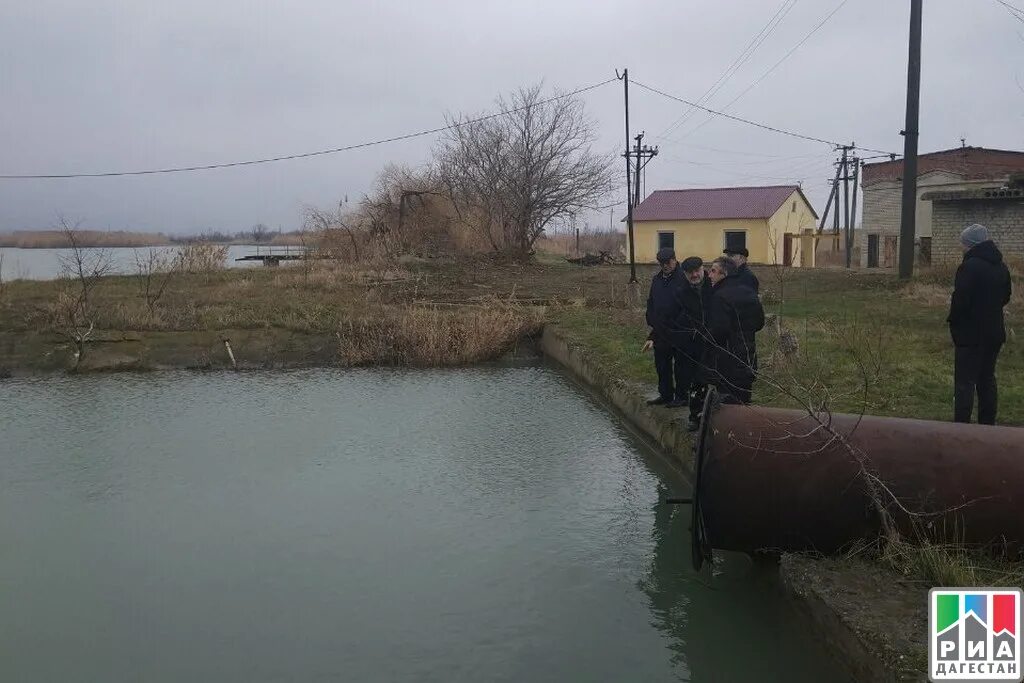 Серная вода в каспийске. Директор водоканала каспийск. Горводоканал избербаш. Водоканал каспийск телефон. Водоканал каспийск телефон.