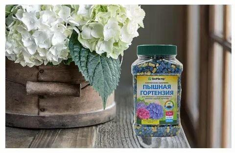 Каким удобрением гортензии