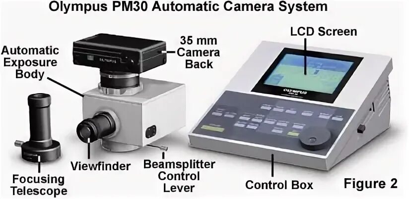 Automatic 30. Видеоцистоскоп олимпус. олимпус биохимический анализатор. automatic camera.