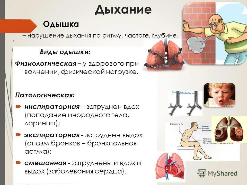 Затруднение дыхания причины. Одышка причины одышки. Причины затруднённого дыхания. Почему трудно дышать. Дышит какой вид