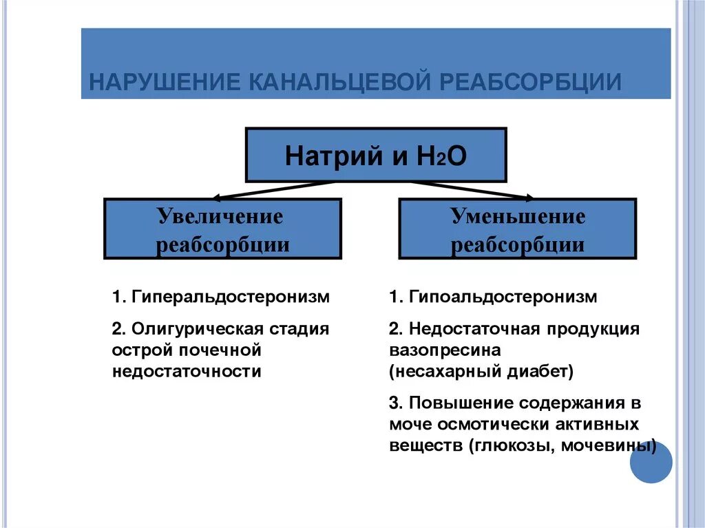 Уменьшение реабсорбции. Снижение канальцевой реабсорбции причины. нарушение секреции почек патофизиология. канальцевая реабсорбция нарушение. нарушение реабсорбции причины.
