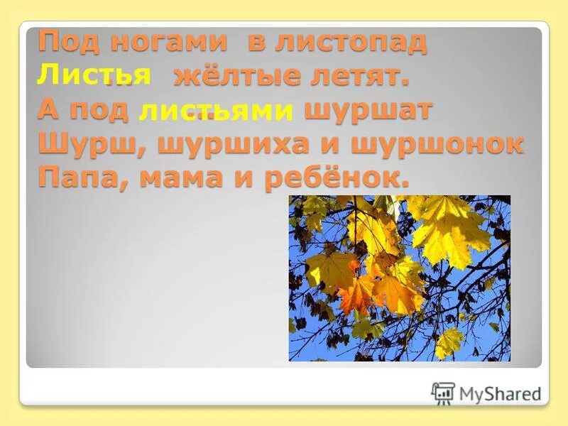 Листья шуршат под ногами. Стихотворение листья шуршат под ногами. Под ногами шуршат желтые листья. Стих листопад. Осенний листопад предложения