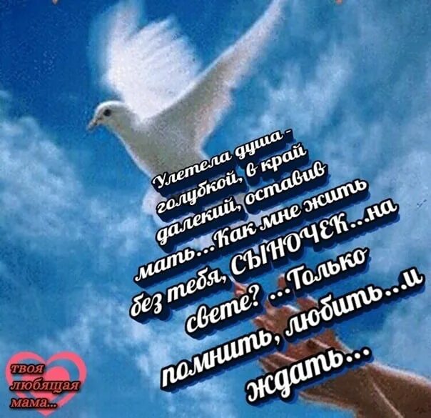 Сын мой в небесах. Сын мой в небесах. Мама на небесах. В память о погибшем сыне. Забрали небеса стихи.
