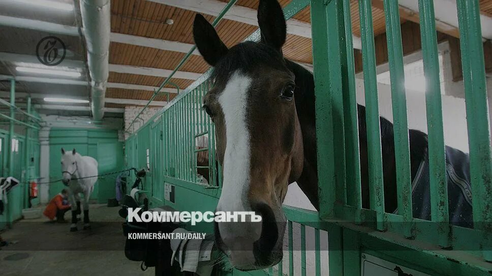 Нижний конюшни. Конюшня Нижний Новгород. Нижегородский ипподром. Ипподромный Нижний Новгород. Ипподром Нижний Новгород история.