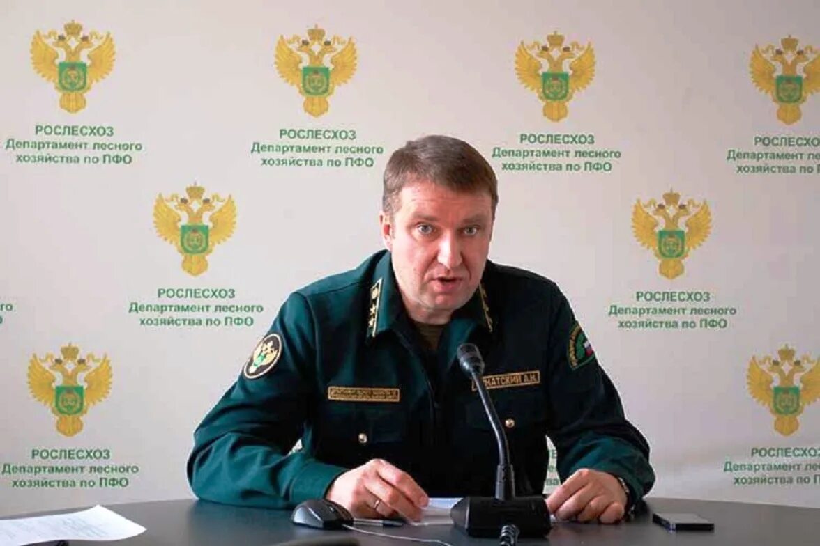 Департамент пфо нижний новгород. Начальник департамента росгидромета по пфо. Департамент лесного хозяйства по приволжскому федеральному округу. Чиненков марк андреевич росприроднадзор. Департамент пфо нижний новгород.