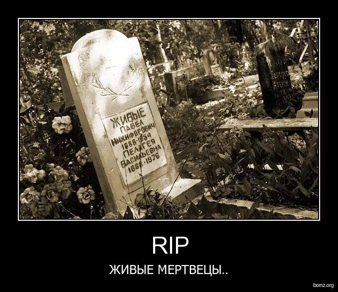 Могила. Могильная коробка. Могила из мемов. Бессмертная могила. Памятник с фамилиями.
