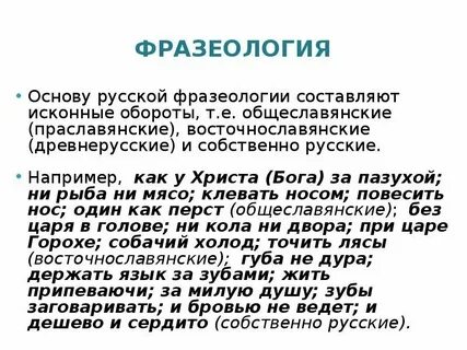 Время слова заросшая
