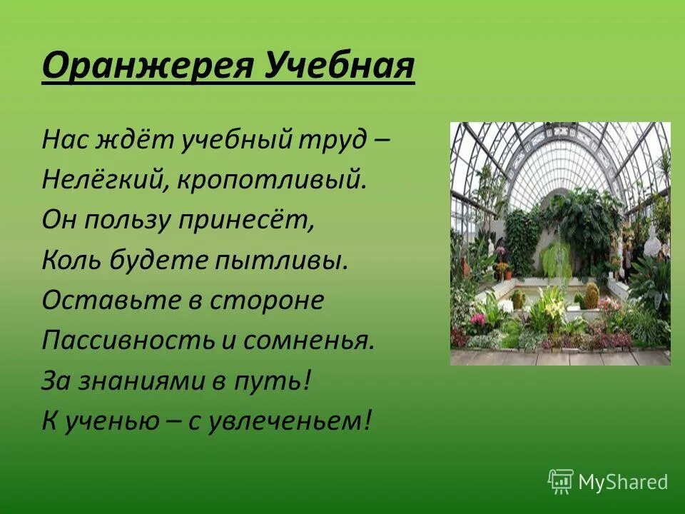текст это происходило в большой оранжерее. критерии оценивания 17 задачи. реликтовые растения определение 6 класс. аргументы повествовательного текста. сочинение про чехова.