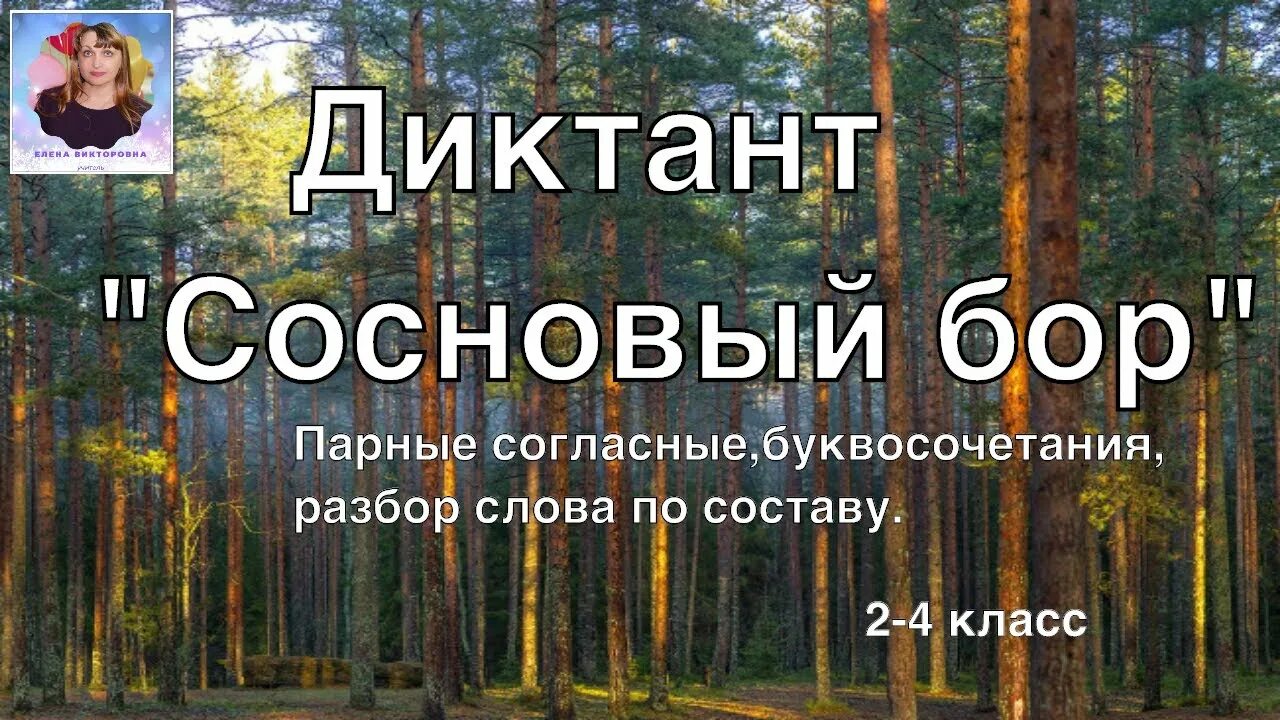 Впр невысокий дом стоял в сосновом лесу. Диктант Сосновый Бор. Текст Сосновый Бор. Сосновый Бор диктант 4 класс. Текст Сосновый Бор диктант.