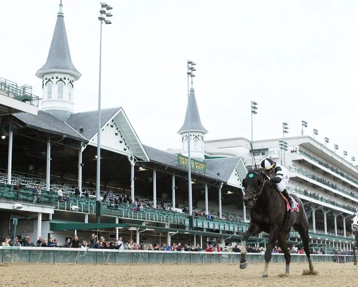 цми рысаки. центральный московский ипподром русские рысаки 2010. главный ипподром. московский ипподром трибуна с. цми трибуны.