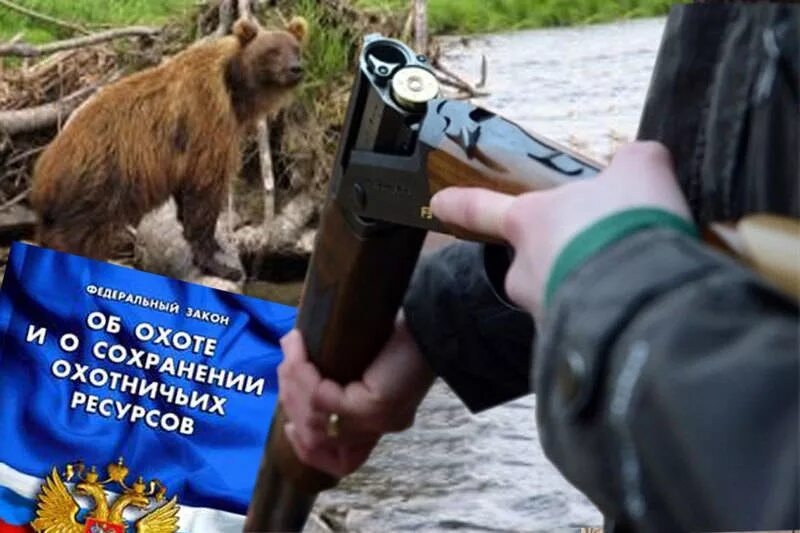 Ограничения охоты. Закон об охоте. фз об охоте. об охоте и о сохранении охотничьих ресурсов. правовое регулирование охоты.