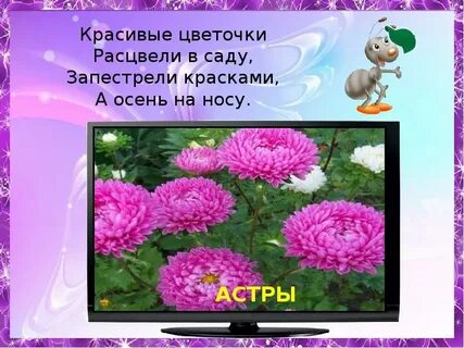 Расцвели цветочки слова