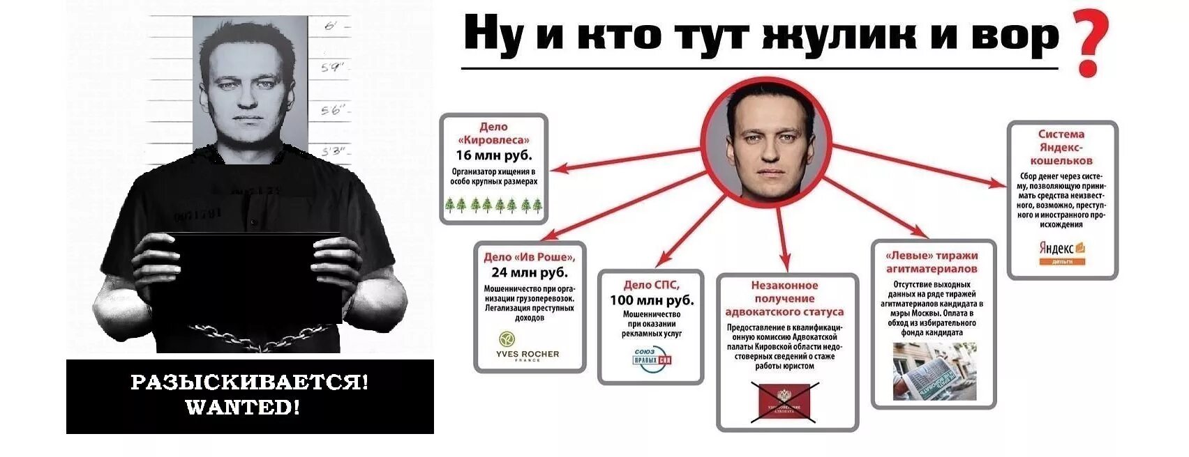 Сколько заплатят обходчикам на выборах. Навальный преступник. Навальный уголовник.