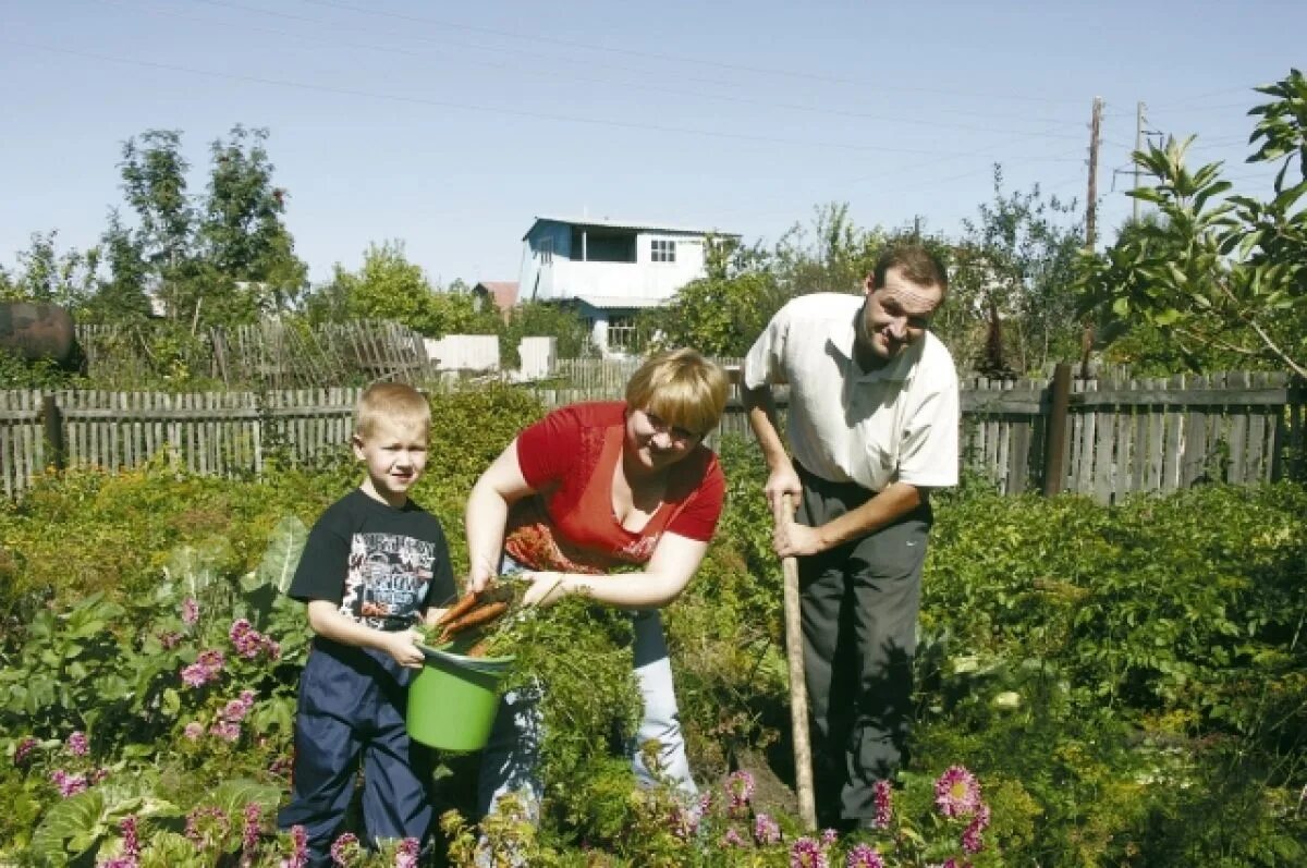огород летом в деревне. дачи россиян. сельский огород. домик в деревне с огородом. огород в деревне пашут землю.