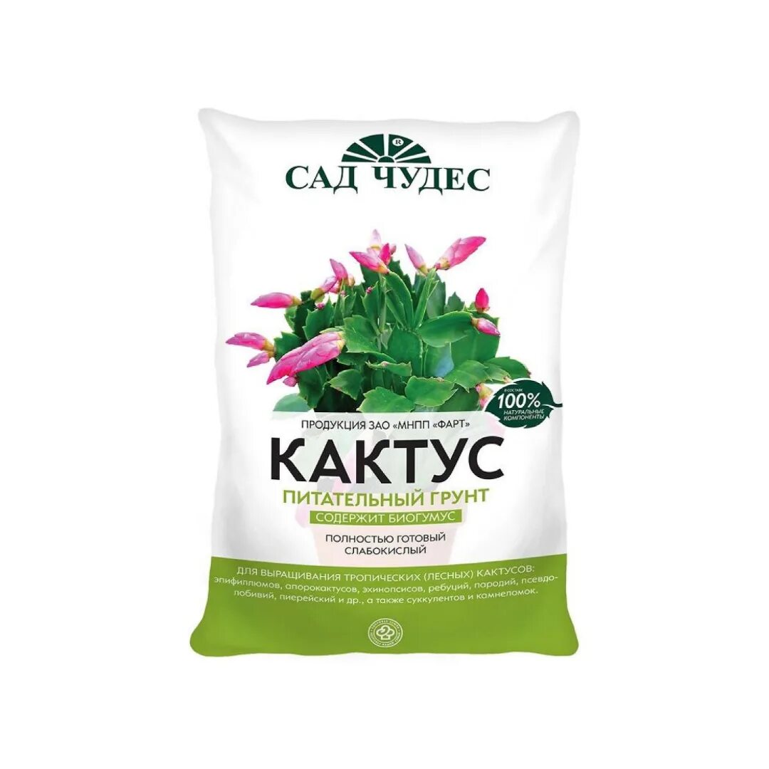 Какой грунт для кактусов. Какой грунт для кактусов