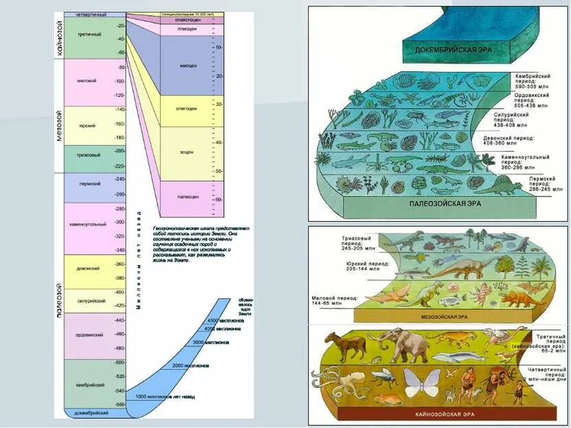 Эры возникновения жизни. Эра зарождения жизни на земле. Эволюция жизни на земле. Земля в период возникновения жизни. Периоды жизни на земле.