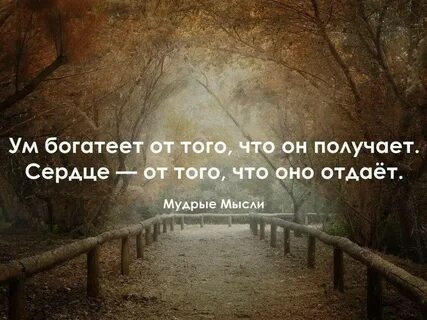 3 мудрых мысли