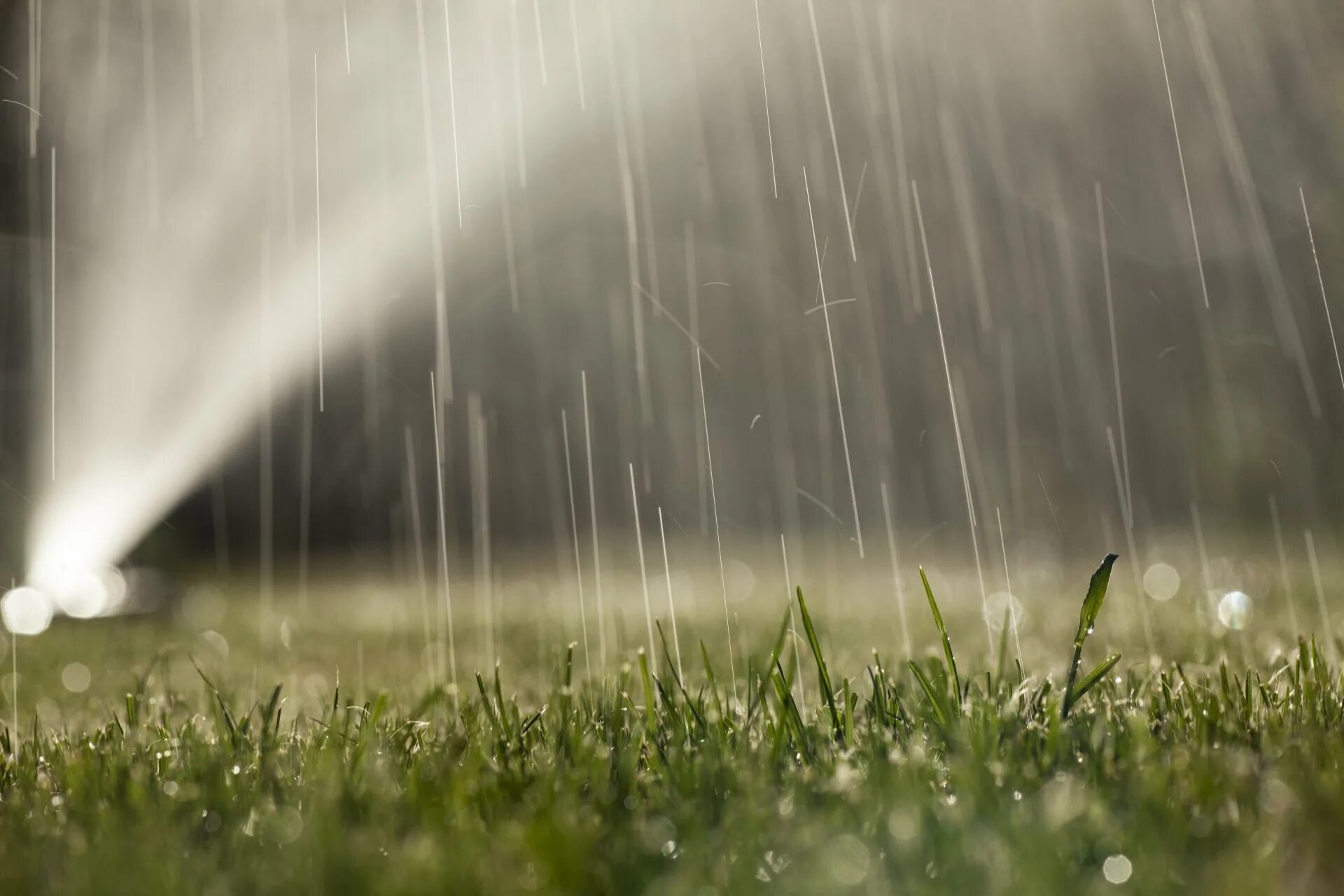 Дождь в поле. Ливень. Дождь летом. Дождь и солнце. High rain