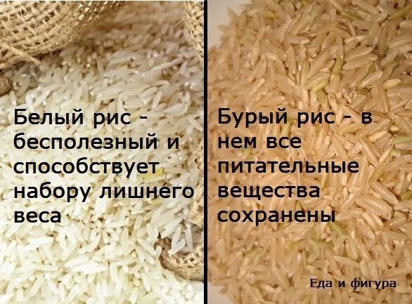 Рис и бурый рис разница. Бурый рис. Бурый и белый рис. Чем полезен бурый рис. Бурый рис и белый рис отличия.