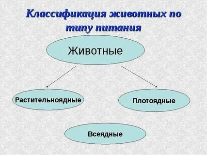 Какие животные относятся к биофильтратам