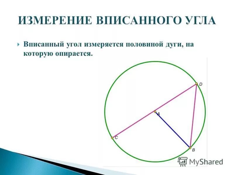 Вписанный угол окружности равен половине дуги