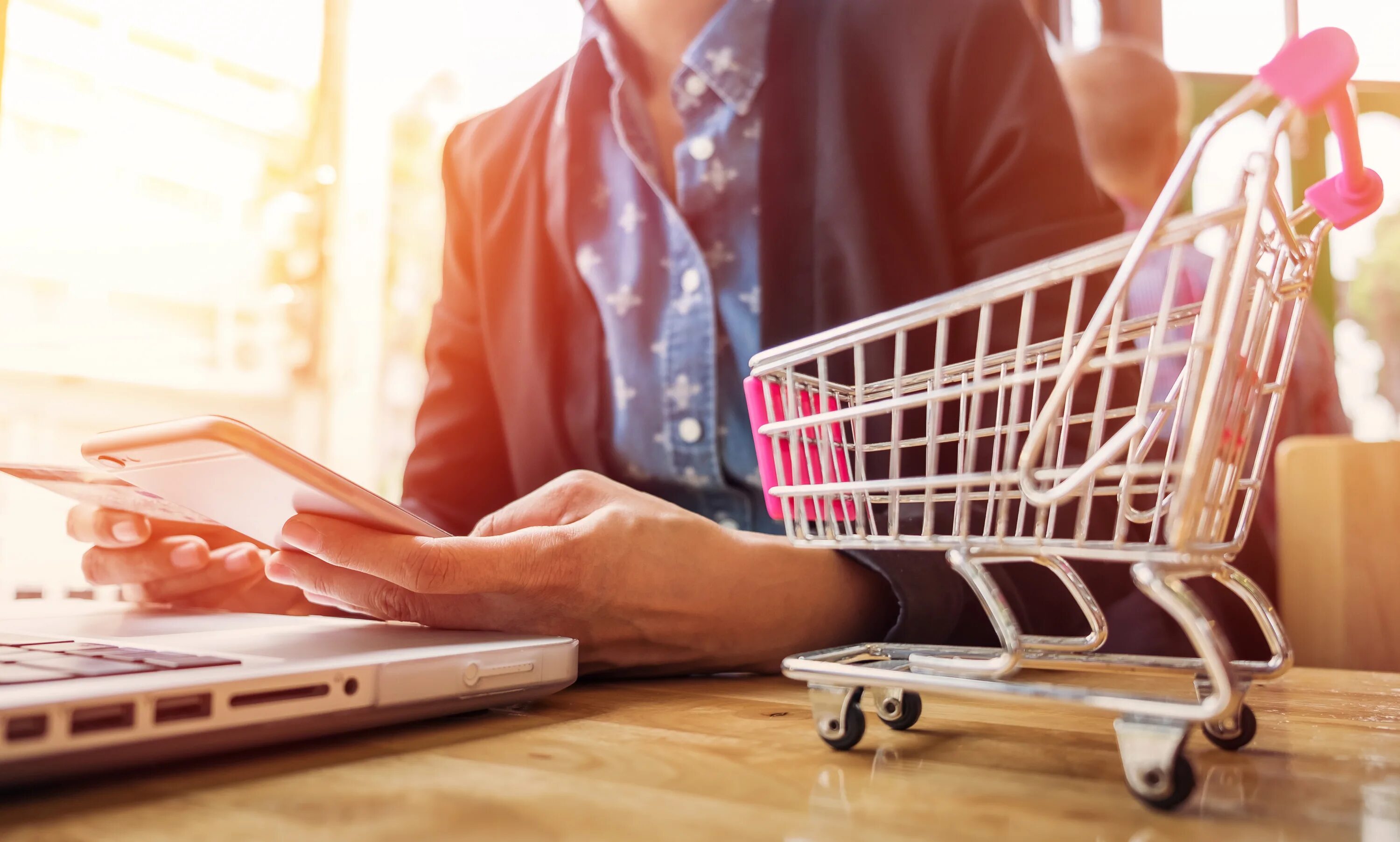 Terms of purchase