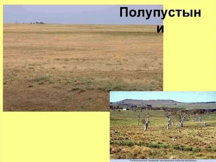 Населенные пункты в степях и тундре