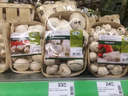 Грибы продаваемые в магазинах