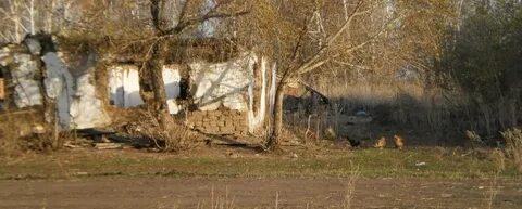 Погода тюменка купинский новосибирская