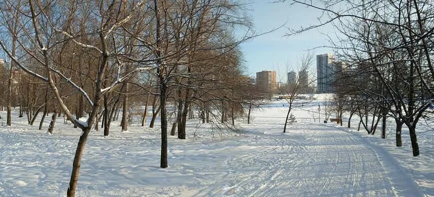 В УрГУПС объяснили, почему решили огородить территорию забором, 10 марта 2021 го