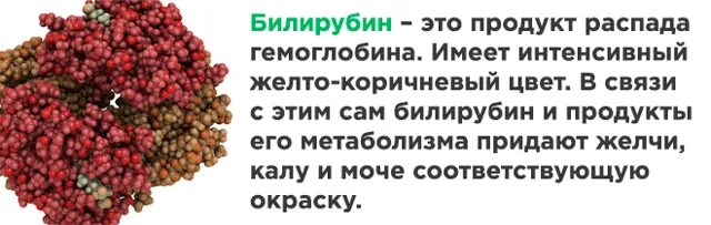 Как понизить билирубин в крови у взрослого. Диета при высоком билирубине в крови. Продукты понижающие билирубин. Какие продукты снижают билирубин в крови. Диета для понижения билирубина.