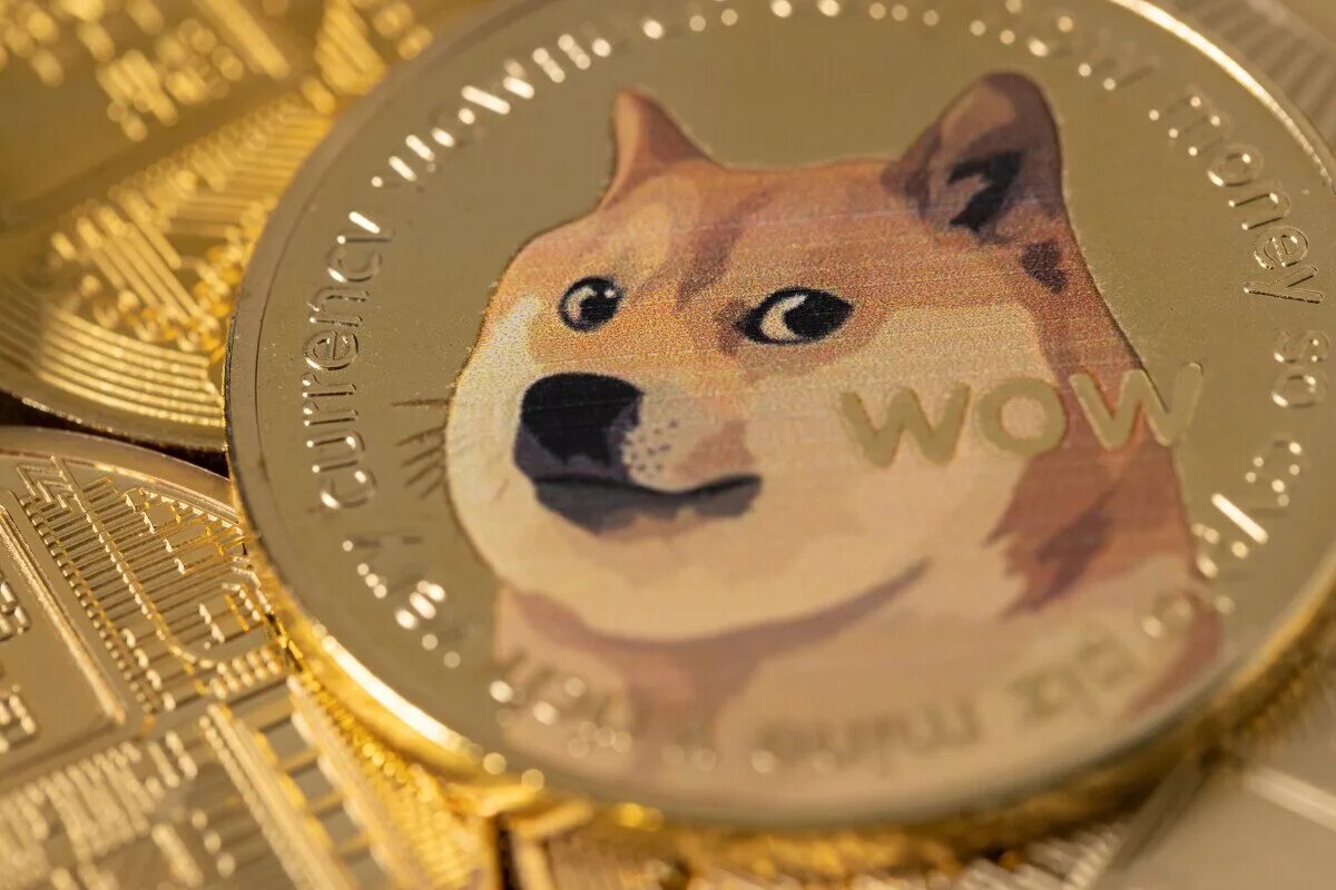 Монета meme. Dogecoin криптовалюта. Монета Мем. День догикоин. Шиба криптовалюта Мем.