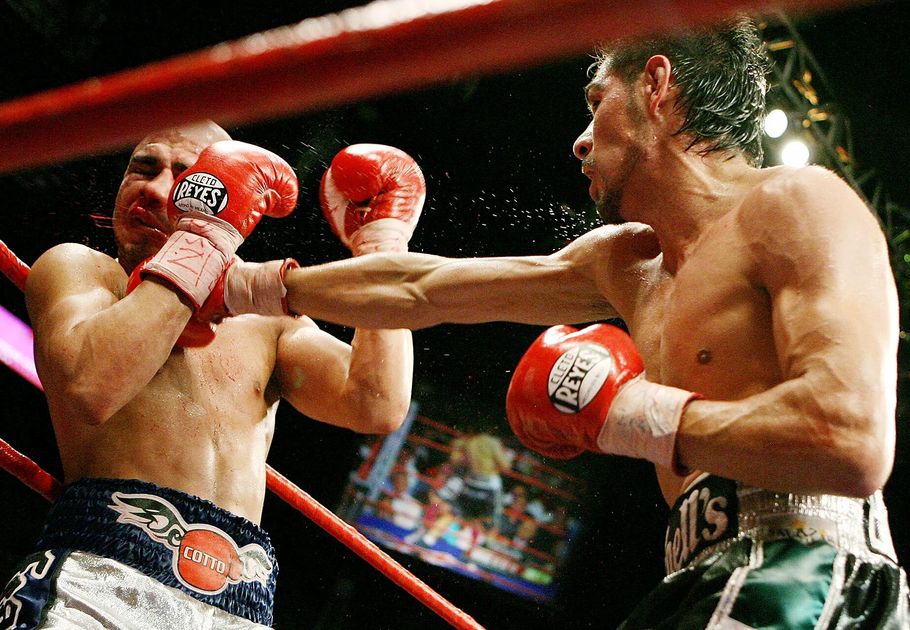 удар джеб и апперкот. хук джеб апперкот. мохаммед али. боксер на ринге. боксер живая.