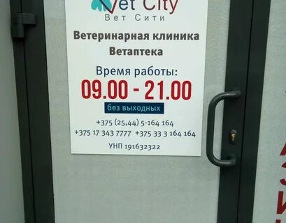 График работы магазина сити