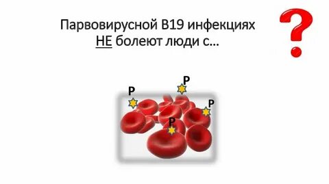 Инфекция б 19