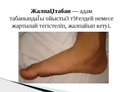 Үлкен мүшесі бар траннилердің бейнелері