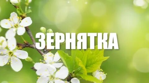 Весенне предложение