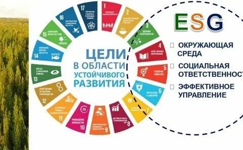 Стратегия устойчивого развития цели