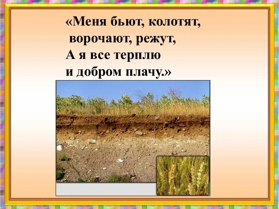 Пословицы о земле кормилице и растениях