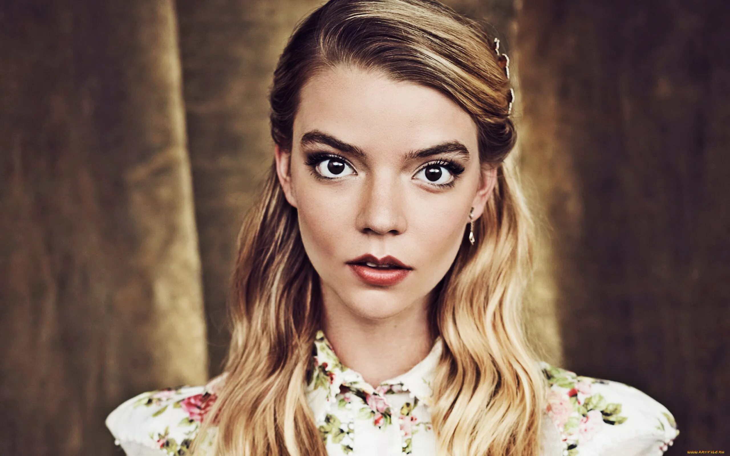 Тейлор джой. Anya taylor миниатюрист. Тейлор джой. Аня тейлор-джои ведьма 2015. Аня тейлор роли.