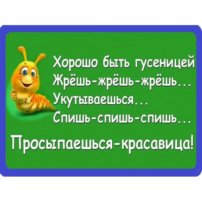 Вставай красавица проснись. Весёлые высказывания для поднятия настроения в картинках. Прикольные афоризмы в картинках для поднятия настроения. Высказывания Веселые позитивные. Позитивные высказывания.