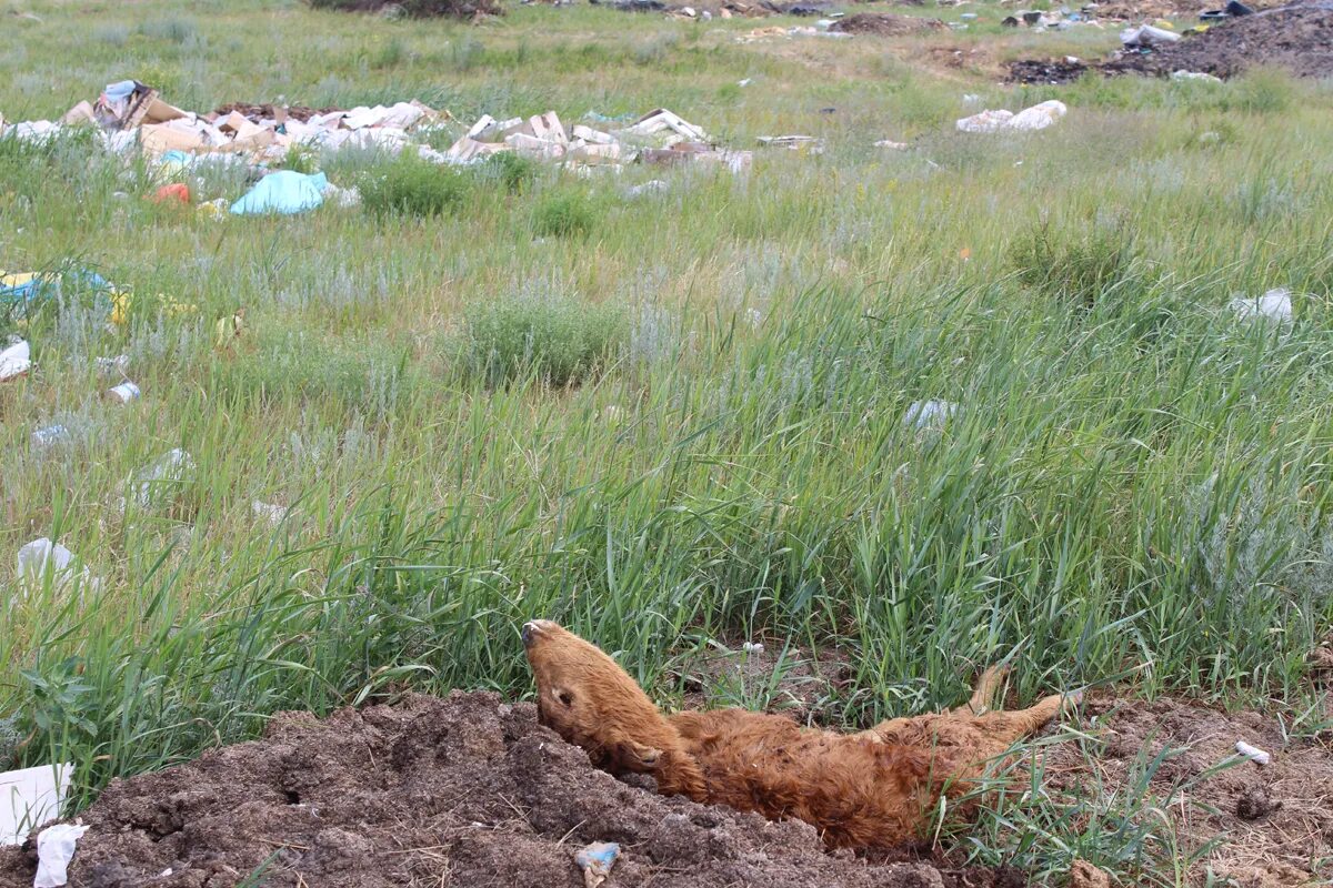 Хабарский район село хабары. Хабары Алтайский край. Село Хабары. Мартовка Алтайский край Хабарский район. Село Свердлово Алтайский край.