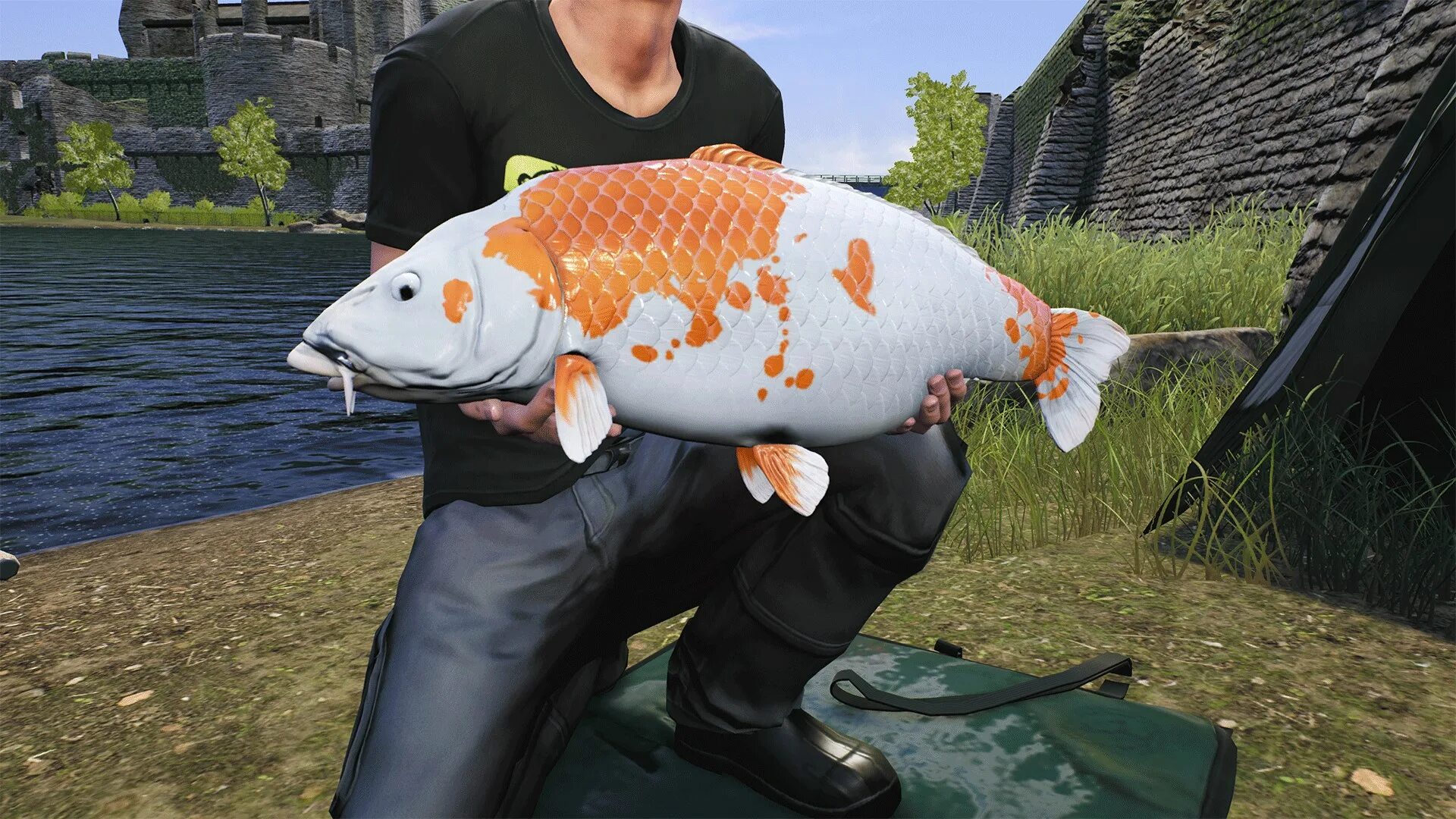 Игра новые рыбалки. Игра Euro Fishing. Professional Fishing игра. Игра евро фишинг. Euro Fishing рыбы.