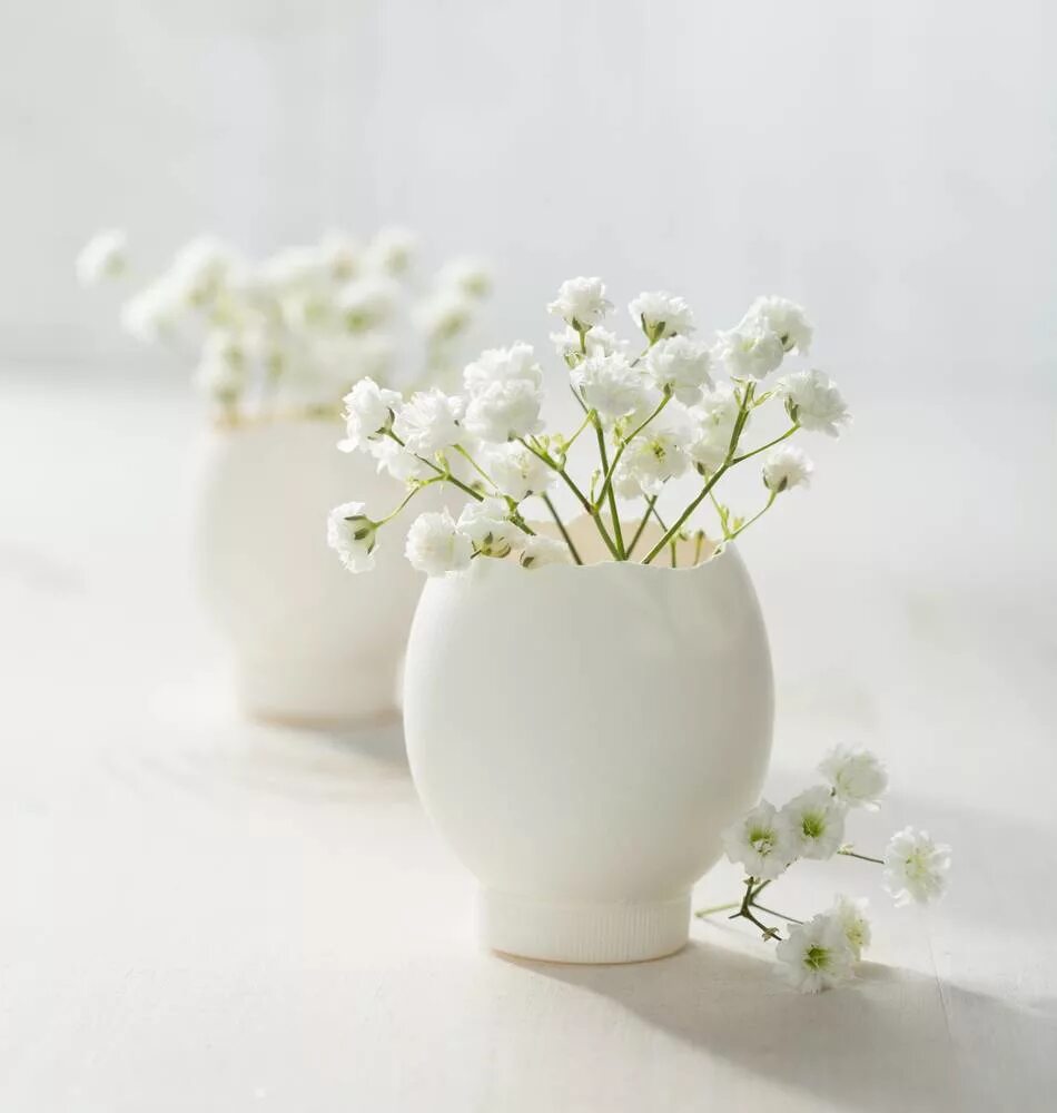 Гипсофила срезка. Blossom s breath. Гипсофила. Гипсофила белая. Gypsophila цветок.